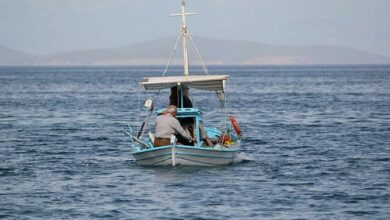 Οι «Ενεργοί Πολίτες» του Δήμου Ηγουμενίτσας καταγγέλλουν με ανοιχτή επιστολή τους πως εδώ και τρία έτη, στην παράκτια ζώνη του Δήμου Ηγουμενίτσας, και συγκεκριμένα από την Πλαταριά έως και τη Σαγιάδα, παρατηρείται έντονη και διαρκώς αυξανόμενη δραστηριότητα ερασιτεχνικής αλιείας από οργανωμένες ομάδες αλλοδαπών, κυρίως από γειτονικές χώρες, οι οποίες δραστηριοποιούνται χωρίς κανένα θεσμικό ή ουσιαστικό έλεγχο.