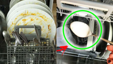Πλυντήριο πιάτων: Εξαφανίστε την μυρωδιά αυγού με 4 ευκολά κόλπα