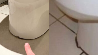Μούχλα & μαυρίλα στη λεκάνη τουαλέτας: Κάντε την να λάμπει με ένα μόνο υλικό
