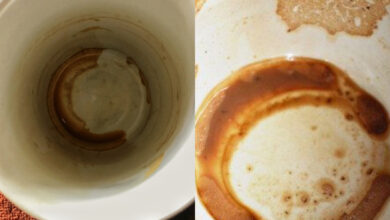 Στυμμένες κούπες από καφέ και τσάι: Πως θα φύγουν οι μαυρίλες και τα καφέ σημάδια