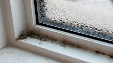 Μούχλα γύρω από τα παράθυρα: 4 συμβουλές για να διώξεις και την υγρασία