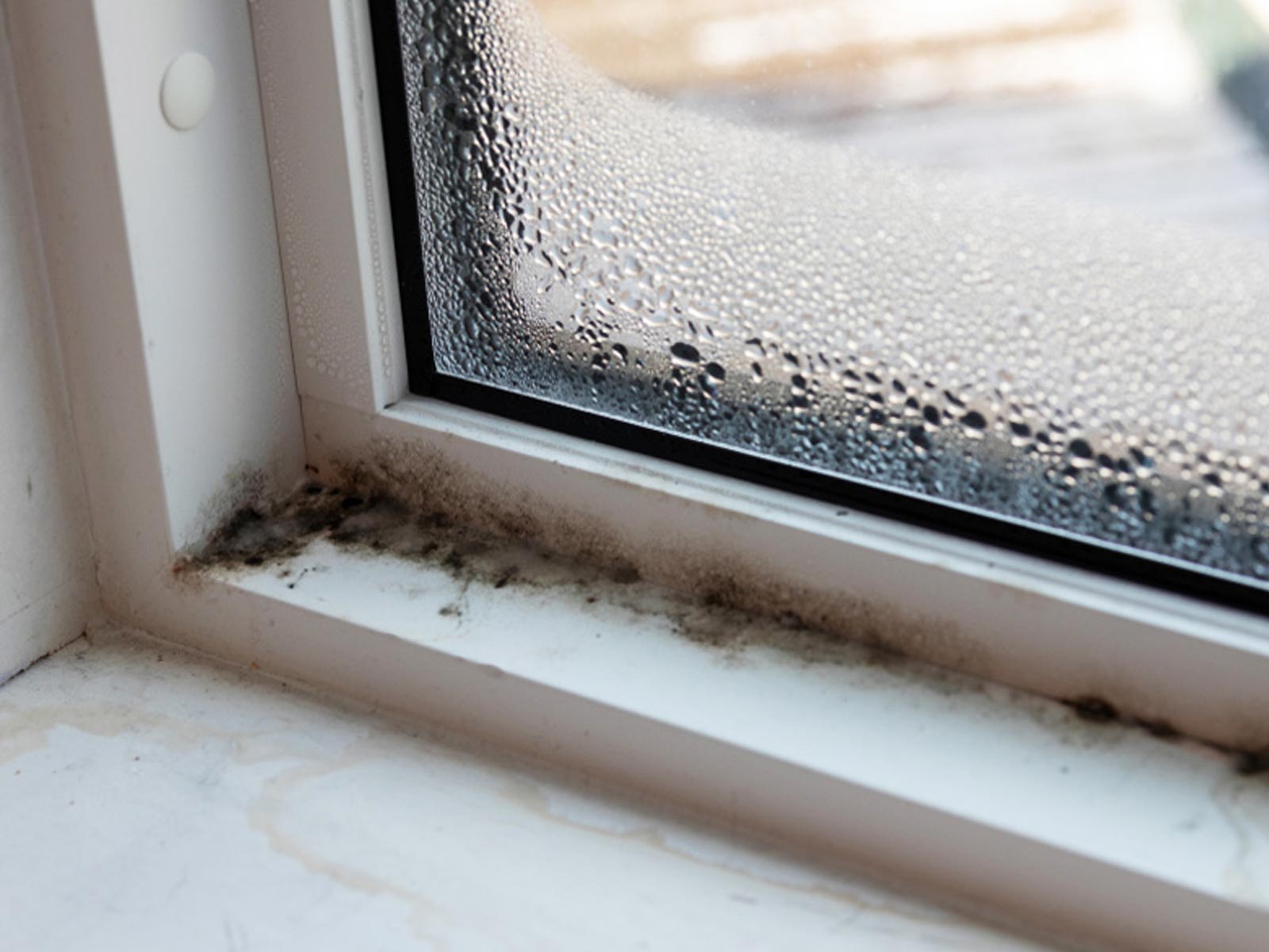 Μούχλα γύρω από τα παράθυρα: 4 συμβουλές για να διώξεις και την υγρασία