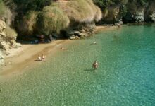 H "άγνωστη" παραλία της Ελλάδας που οι φοίνικες και τα λουλούδια "ακουμπούν" τη θάλασσα