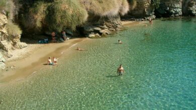 H "άγνωστη" παραλία της Ελλάδας που οι φοίνικες και τα λουλούδια "ακουμπούν" τη θάλασσα