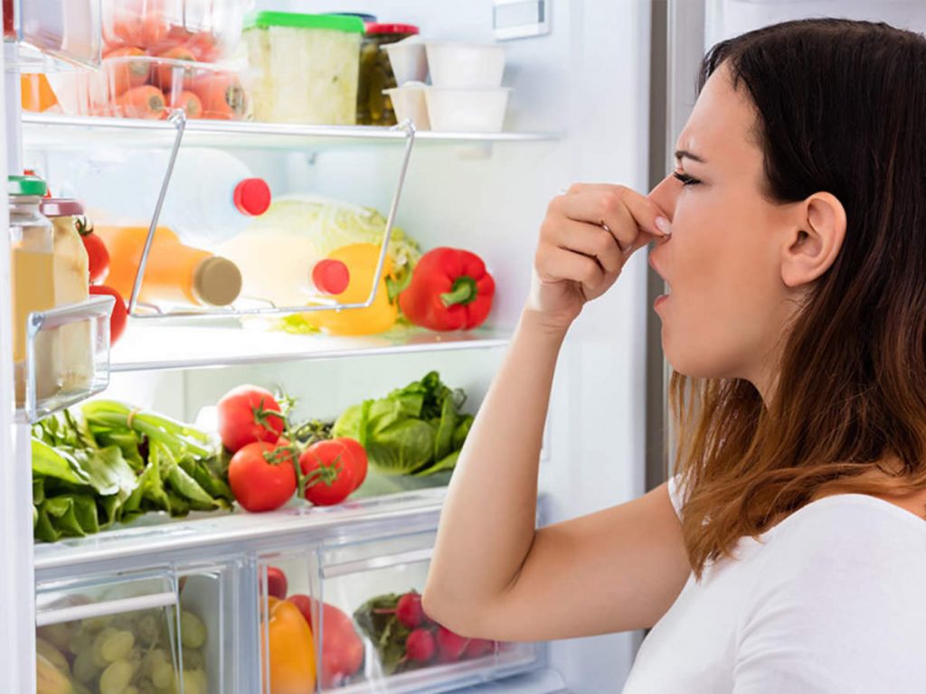 Μυρωδιές και μούχλα στο ψυγείο: Διώξτε τα εύκολα με αυτά τα υλικά