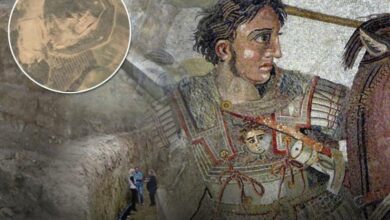 Τάφος Μέγα Αλέξανδρου: Βιβλίο ανατρέπει τα πάντα & φέρνει στο προσκήνιο την Κύπρο!