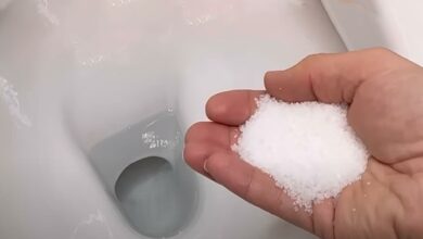 Χλωρίνη και Αλάτι: Ισχυρό καθαριστικό για την λεκάνη της τουαλέτας από άλατα και πουρί