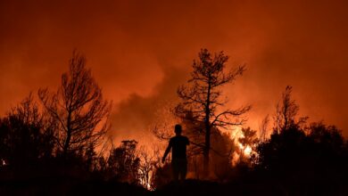 Παλεύουν με τις φλόγες στο Ξυλόκαστρο