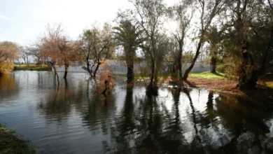 ΣΕΦ: Πλημμύρισε ο χώρος γύρω από το γήπεδο του Ολυμπιακού, στο παρκέ, το Cube, το γυμναστήριο και τους εσωτερικούς χώρους του γηπέδου.