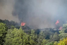 Φωτιά σε δύσβατο σημείο στα Χανιά. Οι θυελλώδεις άνεμοι που πνέουν στην περιοχή καθιστούν δύσκολη την κατάσβεση.
