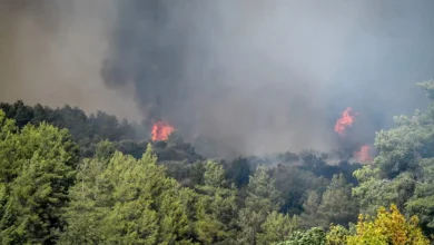 Φωτιά σε δύσβατο σημείο στα Χανιά. Οι θυελλώδεις άνεμοι που πνέουν στην περιοχή καθιστούν δύσκολη την κατάσβεση.