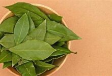 Φενγκ Σούι: Τα φύλλα δάφνης μέσα στο νερό δημιουργούν την απαραίτητη αρμονία μεταξύ του ανθρώπου και του περιβάλλοντός του.