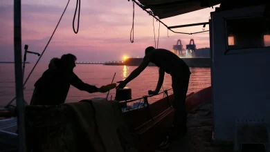 Οι επαγγελματίες ψαράδες του νησιού καθημερινά βλέπουν το μεροκάματο τους να χάνεται, αφού οι τουρκικές ανεμότρατες – κατά δεκάδες