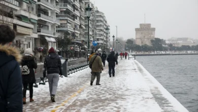 Μακεδονία: Δείτε ποιες περιοχές θα «ντυθούν» στα λευκά - Η πρόβλεψη του Γιώργου Τσατραφύλλια για τον επερχόμενο χιονιά.