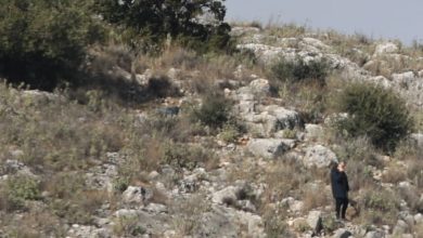 Σε ένα πετρώδες έδαφος κάτω από μία ελιά στο λόφο της Περαχώρας στον Τύρναβο βρέθηκε η σορός του Βασίλη Καλογήρου που είχε εξαφανιστεί από τις 30 Δεκεμβρίου του 2024.