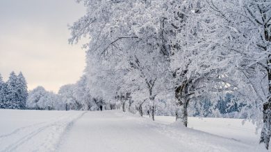 Για εκπλήξεις και για «πολική εισβολή που δεν την βλέπουμε συχνά στη χώρα μας», κάνει λόγο σε ανάρτησή του ο Κλέαρχος Μαρουσάκης.