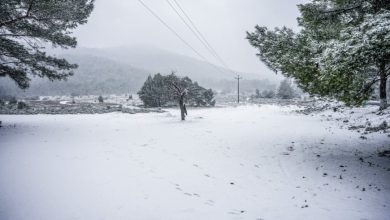 Μάρτης γδάρτης: Χιόνια και βαρυχειμωνιά στην Αττική για 48 ώρες – Που θα «ασπρίσει» και τι να περιμένουμε;