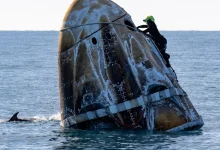 Μια απρόσμενη υποδοχή περίμενε τους αστροναύτες της SpaceX κατά την επιστροφή τους στη Γη: ένα κοπάδι δελφινιών «χορεύοντας» γύρω από την κάψουλα Crew Dragon, πρόσφερε ένα μαγευτικό θέαμα.