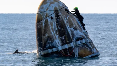 Μια απρόσμενη υποδοχή περίμενε τους αστροναύτες της SpaceX κατά την επιστροφή τους στη Γη: ένα κοπάδι δελφινιών «χορεύοντας» γύρω από την κάψουλα Crew Dragon, πρόσφερε ένα μαγευτικό θέαμα.