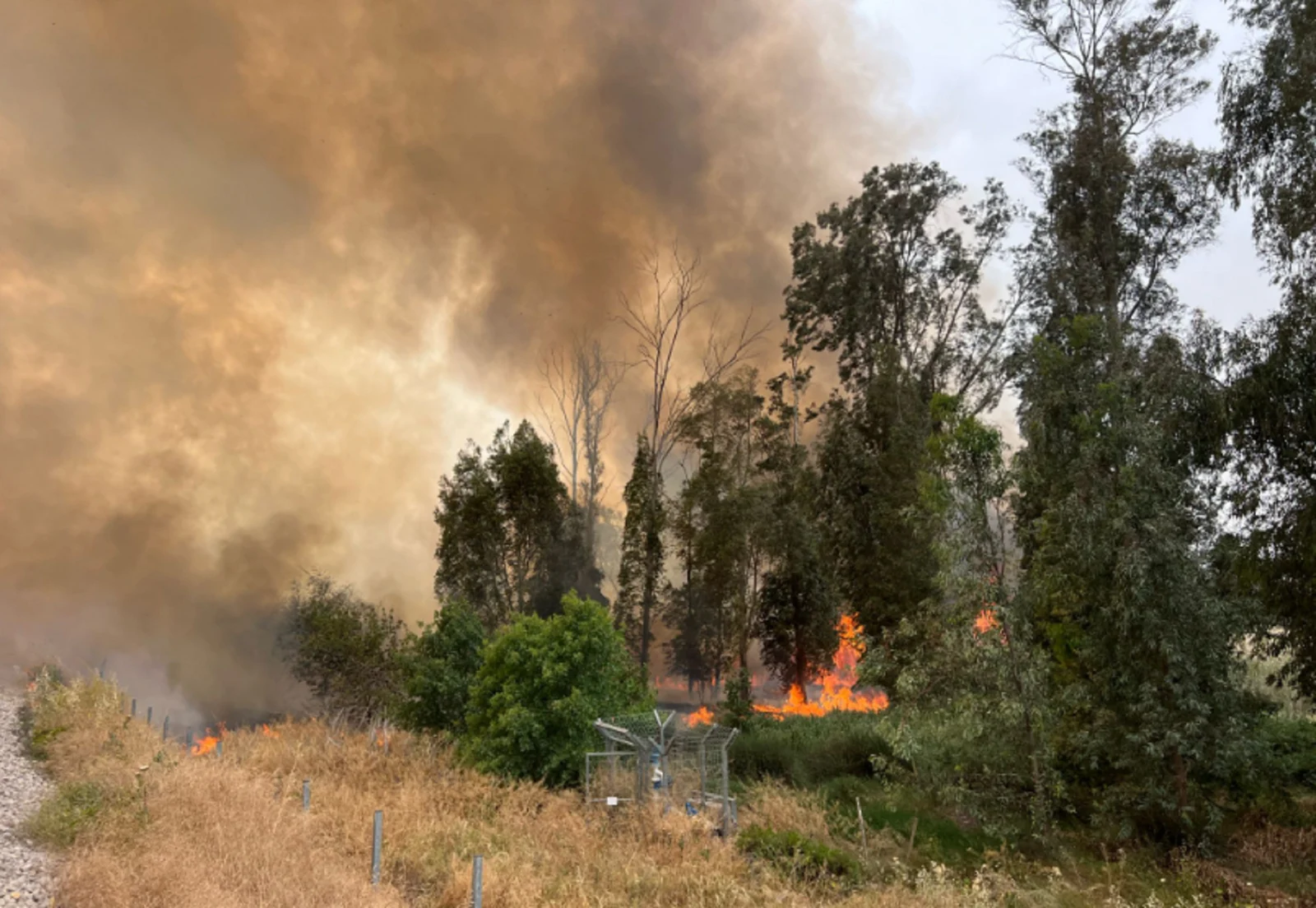 Το Ισραήλ σε πύρινο κλοιό: Έκκληση του Ισραηλινού ΥΠΕΞ για διεθνή βοήθεια – Η Ελλάδα στέλνει το υπερ-αεροσκάφος Supertanker