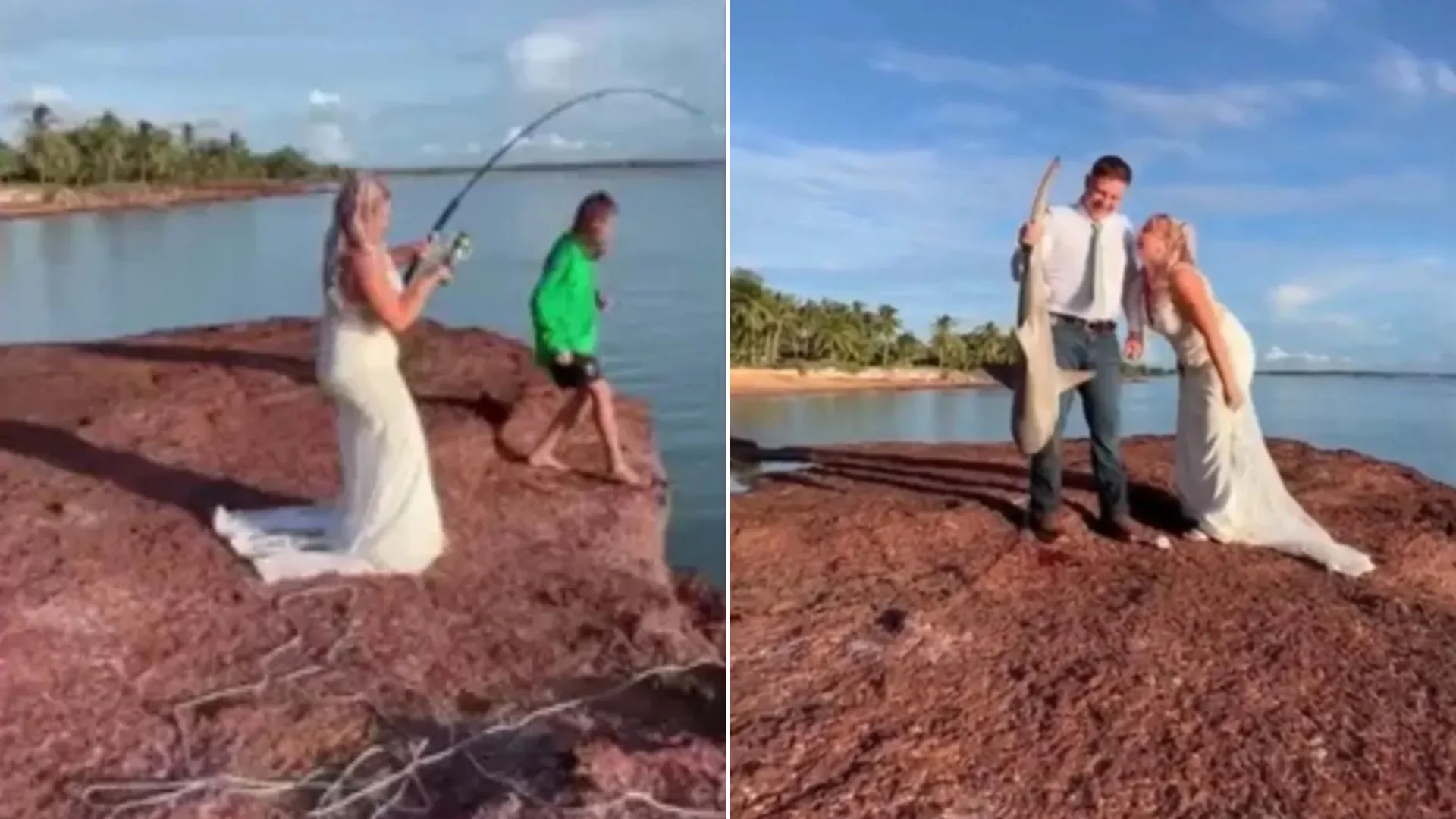 Ένα απρόσμενο περιστατικό καταγράφηκε το Σάββατο στην παραλία Νταντί της Αυστραλίας, όταν μια νύφη, κατά τη διάρκεια των φωτογραφιών