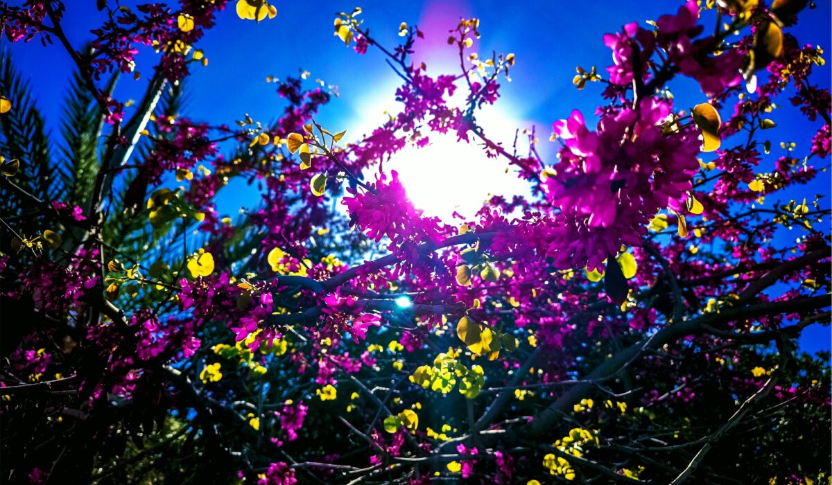 Με καλό καιρό όπως αναφέρει η Εθνική Μετεωρολογική Υπηρεσία (ΕΜΥ) θα κάνουμε Ανάσταση και Πάσχα.