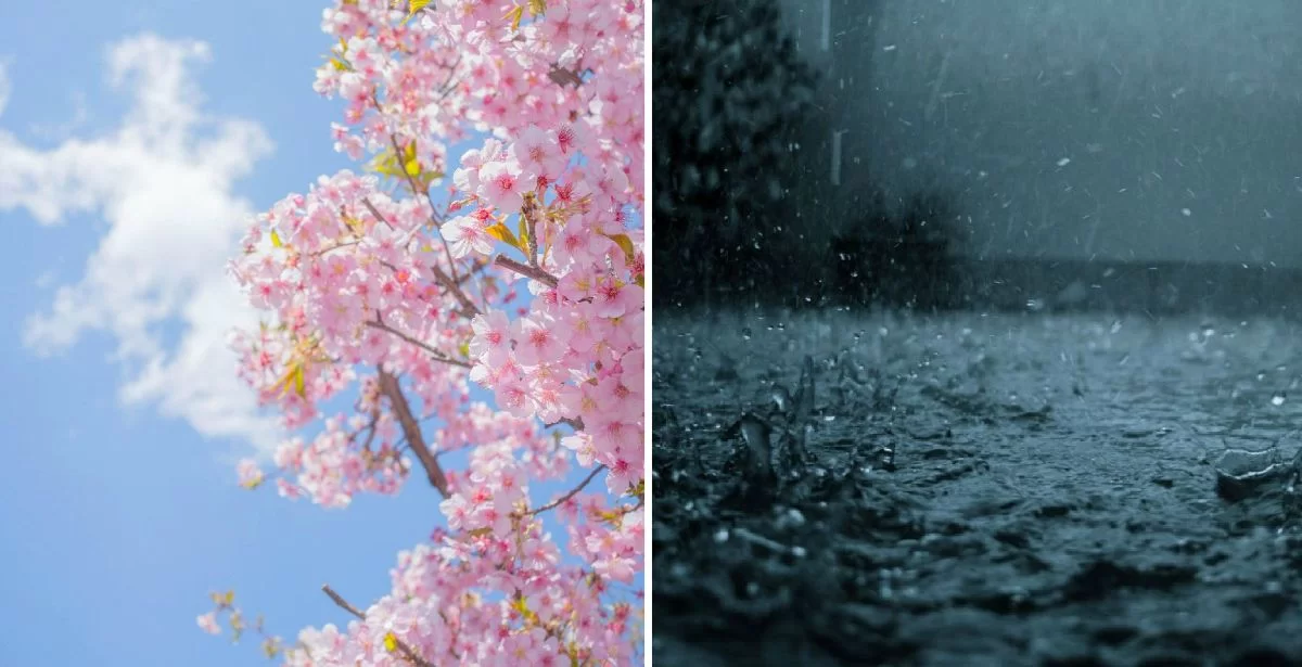 Αλλάζει ο καιρός τις επόμενες μέρες και αναμένονται βροχές και πτώση της θερμοκρασίας. Αναλυτικά η πρόγνωση.