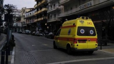 Σύμφωνα με τις πληροφορίες του veriotis.gr, περίπου στις 12:00 του Σαββάτου, το παιδί βρισκόταν με την γιαγιά του στον πεζόδρομο της αγοράς και συγκεκριμένα στην οδό Προφήτη Ηλία.