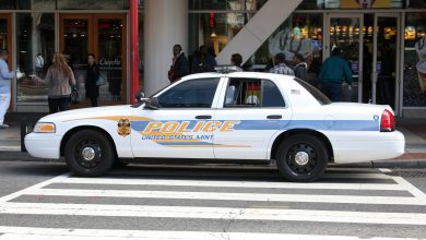 Μια γυναίκα από το Ουισκόνσιν των ΗΠΑ που εξαφανίστηκε πριν από 60 και πλέον χρόνια, βρέθηκε ζωντανή από τις αρχές. Σύμφωνα με το ενημερωτικό δελτίο Τύπου από το γραφείο του σερίφη της κομητείας Sauk, η Όντρεϊ Μπάκεμπεργκ, παντρεμένη και μητέρα δύο παιδιών, έφυγε από το σπίτι της τον Ιούλιο του 1962, όταν ήταν 20 ετών.