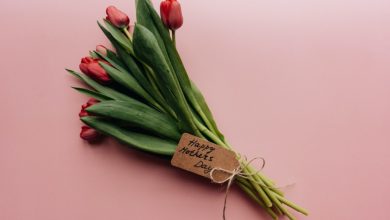 Κάθε χρόνο, τη δεύτερη Κυριακή του Μαΐου, ένα μέρος του πλανήτη, συμπεριλαμβανομένης και της Ελλάδας, γιορτάζει τη Γιορτή της Μητέρας.