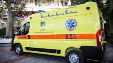 Δεν χωράει ανθρώπινος νους το περιστατικό που εκτυλίχθηκε χθες το βράδυ στην Θεσσαλονίκη, όπου ένας καβγάς για έναν αδέσποτο σκύλο