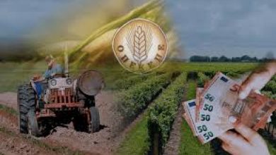 Οσμή σκανδάλου στον ΟΠΕΚΕΠΕ: Ξαφνική έρευνα της Ευρωπαϊκής Εισαγγελίας για παρατυπίες στις αγροτικές επιδοτήσεις