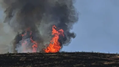 Πύρινος συναγερμός στη Ριτσώνα: Τεράστια κινητοποίηση της Πυροσβεστικής για να μη χαθούν ζωές και περιουσίες στις φλόγες – Συνελήφθη 30χρονος για εμπρησμό
