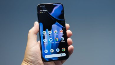 Σύμφωνα με δηλώσεις του Ιταλού υπουργού Παιδείας Τζουζέπε Βαλντιτάραστο ραδιοσταθμό RAI Radio 1, η χώρα του προτίθεται να ζητήσει να απαγορευθεί σε ολόκληρη την ΕΕ η χρήση κινητών τηλεφώνων από τα παιδιά που φοιτούν στα σχολεία στοιχειώδους εκπαίδευσης.