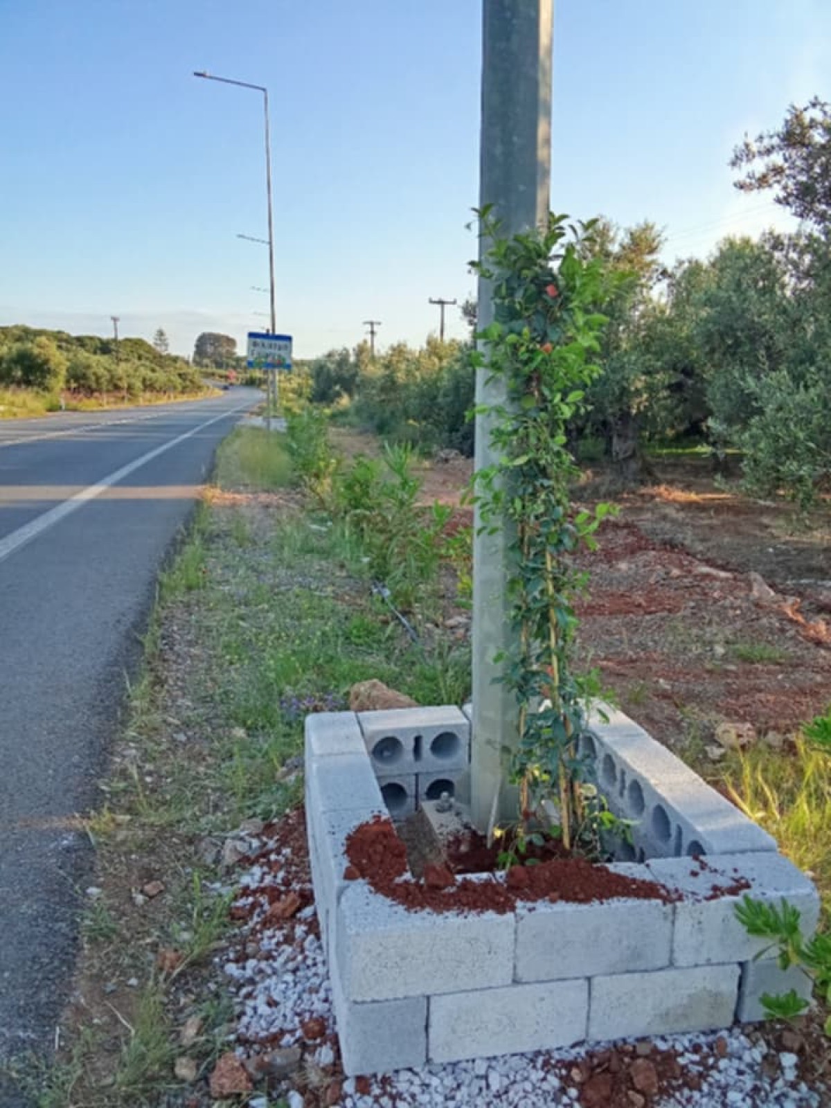 Φιλιατρά: Οδοφωτισμός με άρωμα γιασεμί – Πράσινη πατέντα στην Τριφυλία
