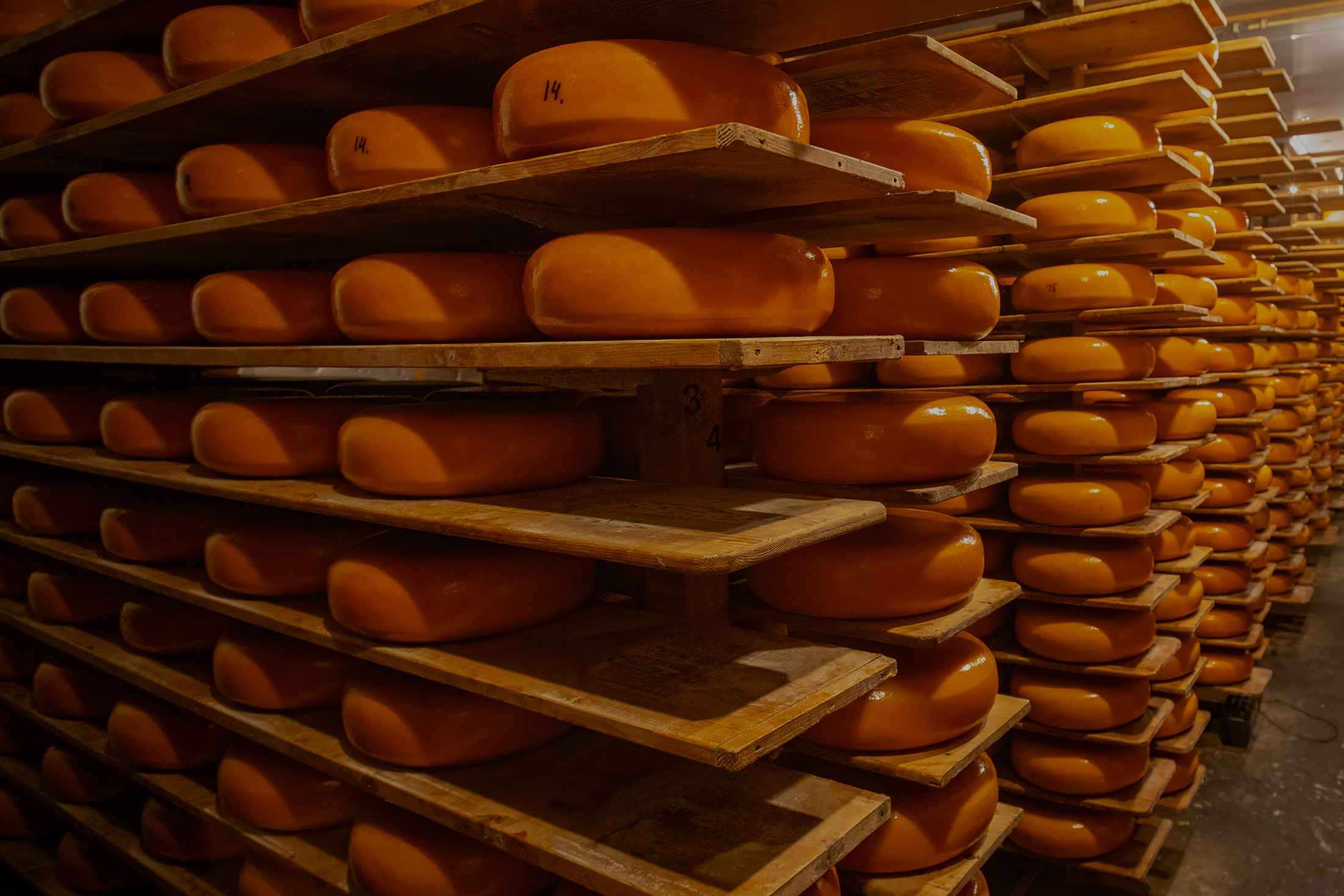 Αποκάλυψη: Τεράστια απάτη με «αόρατα» τυριά στη Θεσσαλία: Ο ρόλος των offshore εταιρειών και των εικονικών λογαριασμών