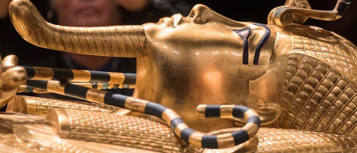 Ερευνητές με επικεφαλής το Πανεπιστήμιο της Πενσιλβάνια μετέτρεψαν τον θανατηφόρο μύκητα Aspergillus flavus, που συνδέεται