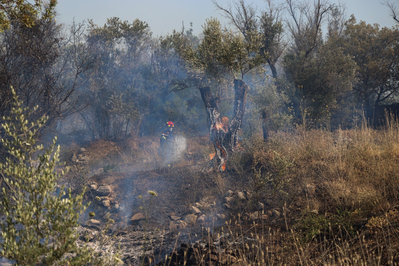 Με τη φωτιά να μαίνεται στη Χίο για τρίτη μέρα η εικόνα της καταστροφής του νησιού είναι αποκαρδιωτική.