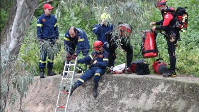 Ανείπωτη τραγωδία εκτυλίχθηκε την Παρασκευή στη Σαμοθράκη, όταν ένας 49χρονος τουρίστας εντοπίστηκε χωρίς τις αισθήσεις του