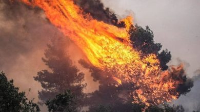 Μια τραγική “παράδοση” στις φλόγες συνεχίζεται αδιάκοπα στη Χίο, όπου μέσα σε 15 χρόνια έχουν καεί περισσότερα από 220.000 στρέμματα