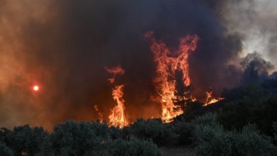 Η Χίος ζει μια από τις πιο δύσκολες στιγμές των τελευταίων ετών, καθώς η πύρινη λαίλαπα που ξέσπασε το μεσημέρι της Κυριακής
