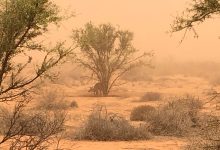 Γιώργος Τσατραφύλλιας: Τον κώδωνα του κινδύνου για τον κίνδυνο εκδήλωσης φωτιάς σήμερα Παρασκευή (27.06.25) σε έξι περιοχές της χώρας κρούει ο γνωστός