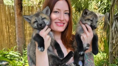 Η YouTuber και μητέρα ενός κοριτσιού Mikayla Raines έδωσε τέλος στη ζωή της σε ηλικία μόλις 29 ετών, έπειτα από μια μεγάλη περίοδο