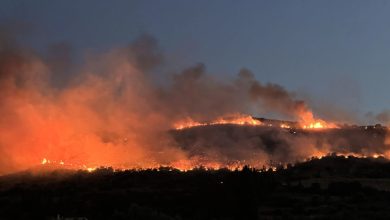 Σοβαρό πύρινο μέτωπο βρίσκεται σε εξέλιξη από τα ξημερώματα της Κυριακής (29 Ιουνίου) στην περιοχή Πλατανίτης του Δήμου Ναυπακτίας