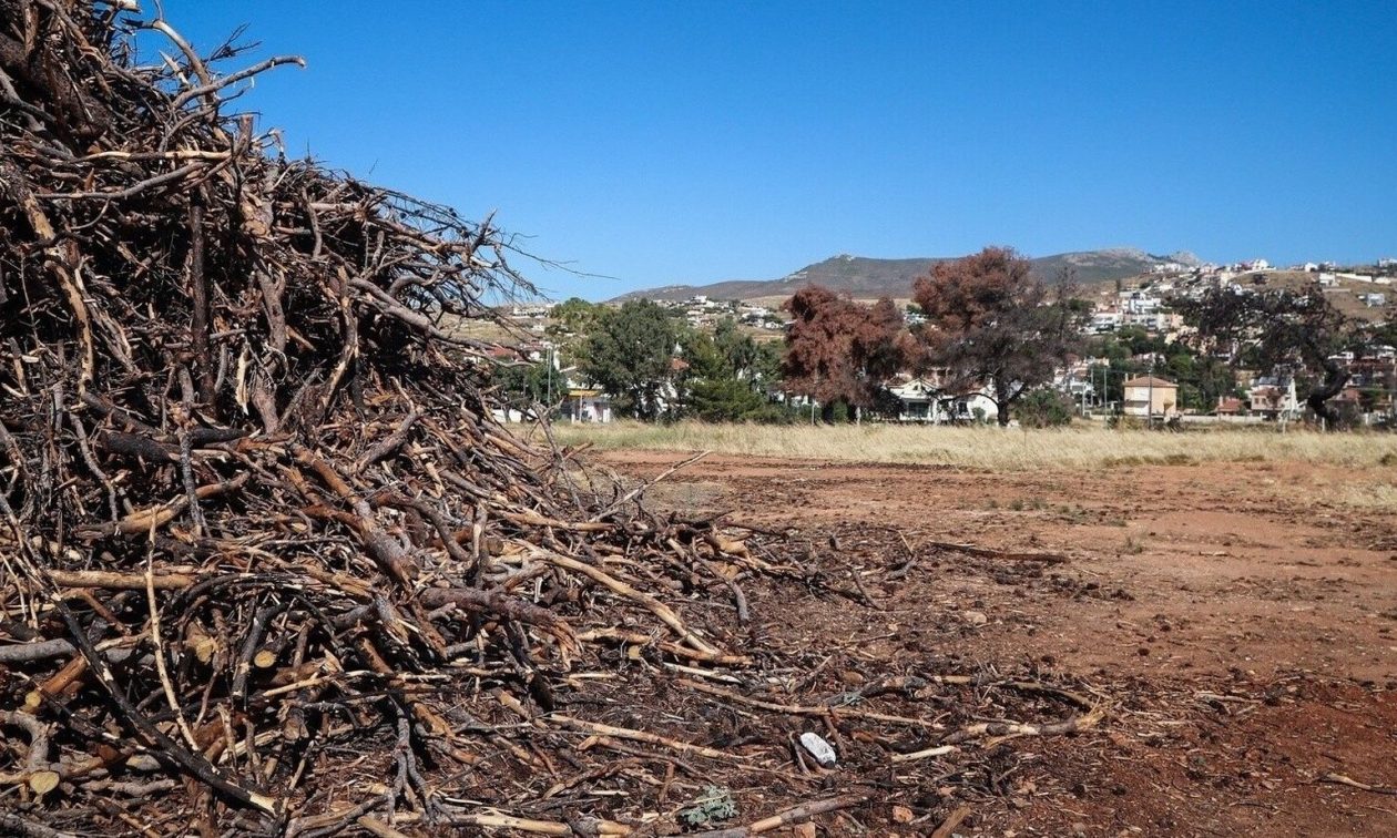 Ακαθάριστα οικόπεδα: Καμία παράταση για τις δηλώσεις – Λήγει η προθεσμία στις 15 Ιουνίου
