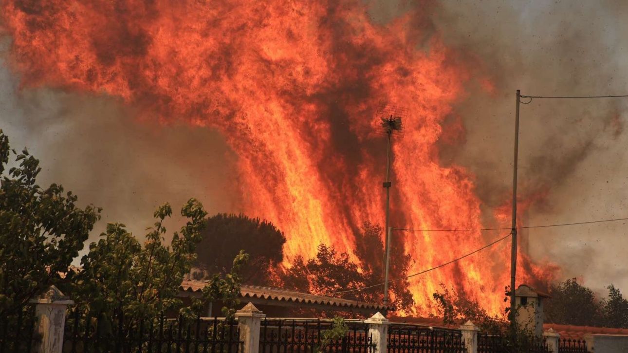 Σε κατάσταση αυξημένου συναγερμού τέθηκαν οι πυροσβεστικές δυνάμεις στην Αττική, καθώς μεγάλη δασική πυρκαγιά εκδηλώθηκε