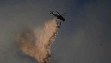 Σε εξέλιξη βρίσκεται πυρκαγιά που εκδηλώθηκε σε δασική έκταση στην περιοχή Κοφινά, έξω από την πόλη της Χίου, κοντά στην περιφερειακή