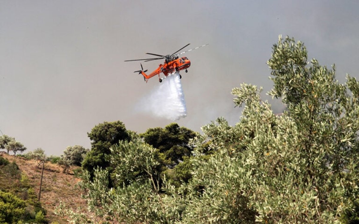 Συναγερμός στην Κάρυστο: Πυρκαγιά βρίσκεται σε εξέλιξη στην περιοχή Παξιμάδα του Δήμου Καρύστου στην Εύβοια.