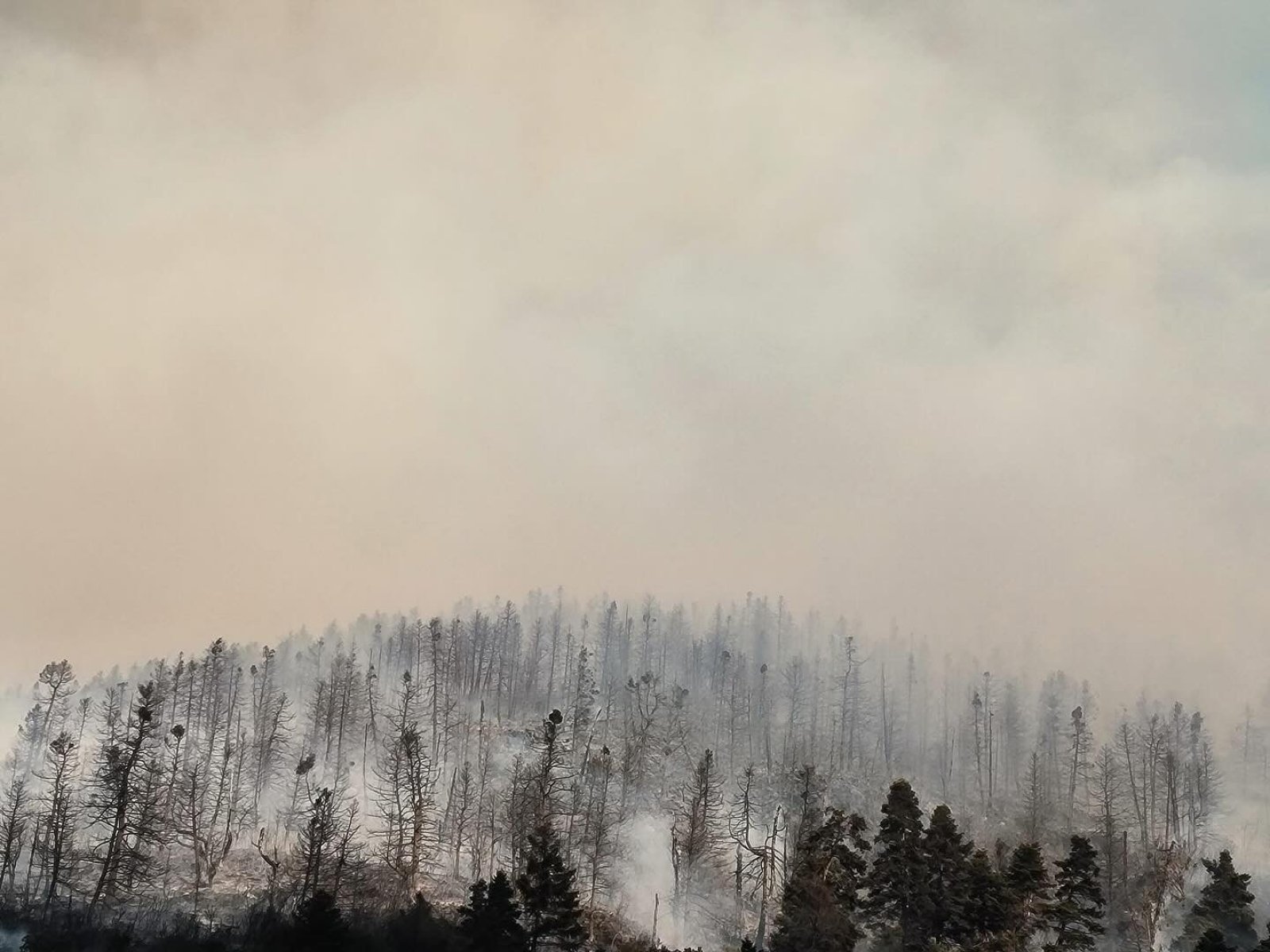 Ανυπολόγιστες για το περιβάλλον είναι οι συνέπειες της πυρκαγιάς που έπληξε τον Φενεό Κορινθίας, μια περιοχή Natura, με τις καμένες