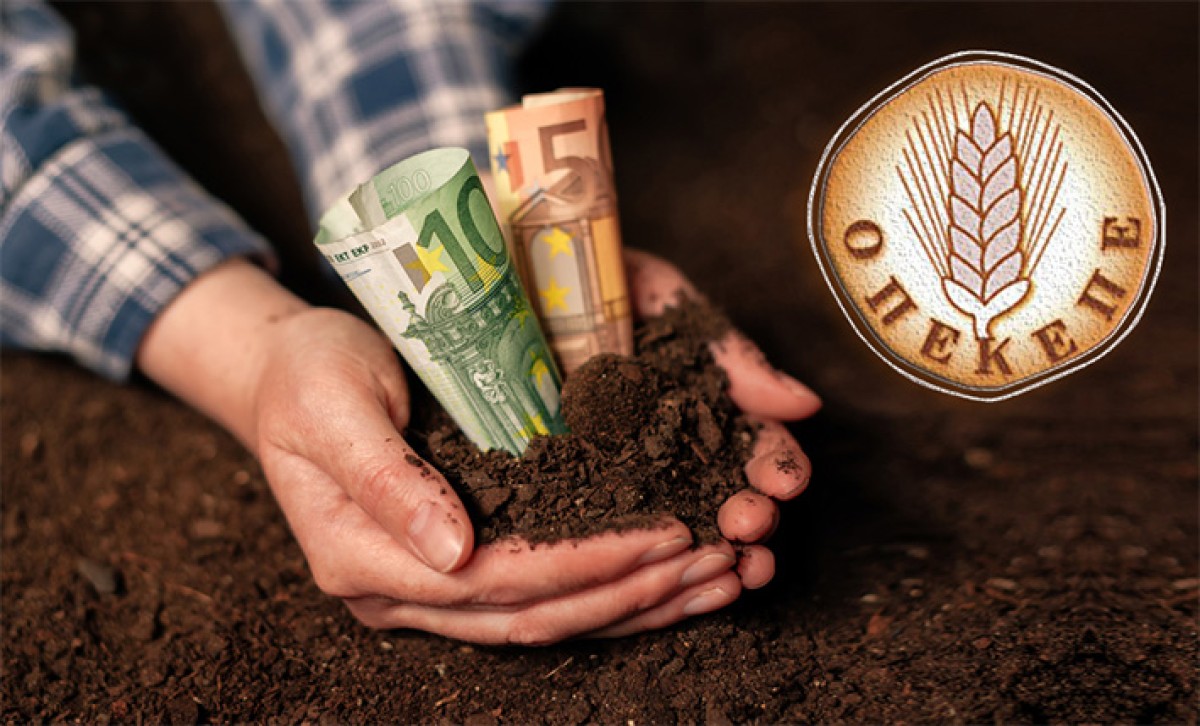 Ραγδαίες αναμένονται οι εξελίξεις στην υπόθεση των παράτυπων αγροτικών επιδοτήσεων μέσω του ΟΠΕΚΕΠΕ, καθώς χθες